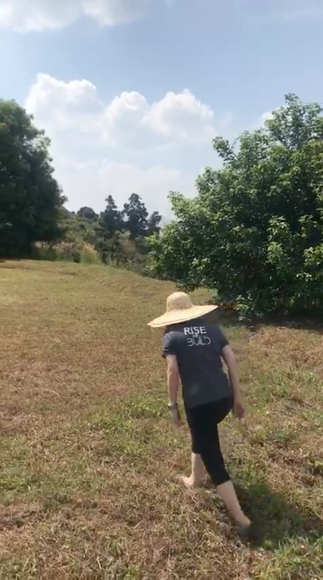 Our Country Home