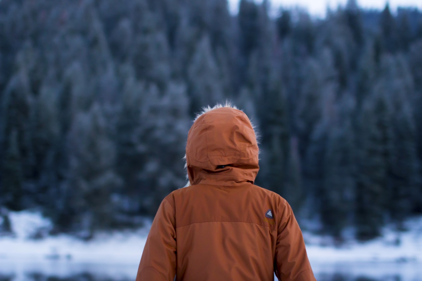Content with the Cold